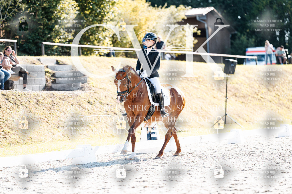 CK906088 | Turnierfotografie Pferdefotografie Trier Rheinland-Pfalz Pferdesport Reitsport Tierfotografie Sportfotografie Pferdevideo Pferdevideografie Equestrianvideography equestrianphotography  - Realisiert mit Pictrs.com