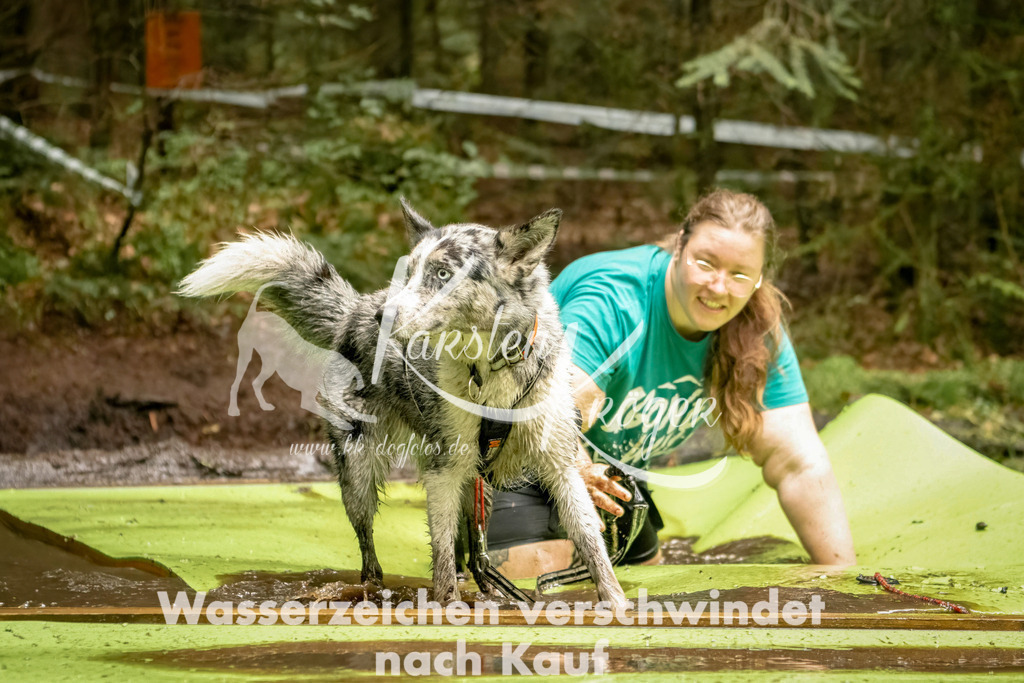 1204_ZZ92519-Bearbeitet | kk-dogfotos