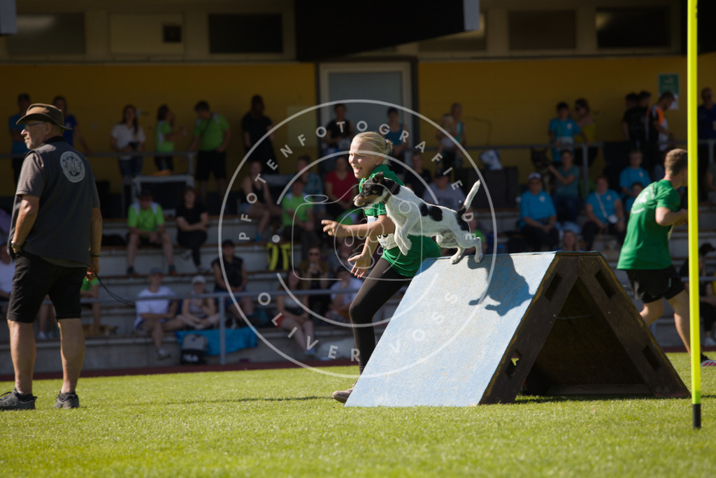 0L8A7710 | Hundefotografie, Tierfotograf, Pfotenfotografie, Fotoshooting Hund, Hunde Portrait, Hundesport, Hundeportraits, Heideshooting, Hunde, Sportfotograf, Hundefotograf, Turnierhundsport, THS,  - Realisiert mit Pictrs.com