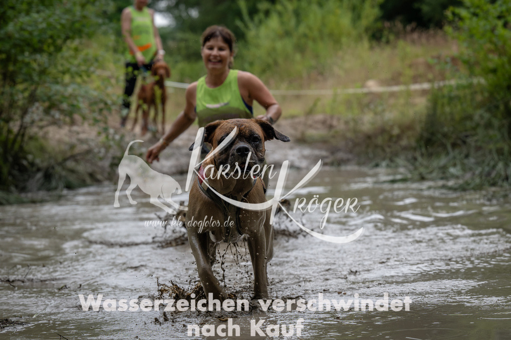 1436_ZZ92042 | kk-dogfotos