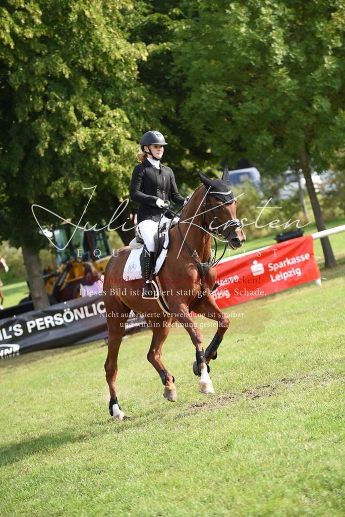 DSC_8782 | Pferde- und Turnierfotografie in Westsachsen. Pferdeportraits, Auftragszeichnungen und intuitive Kunst.