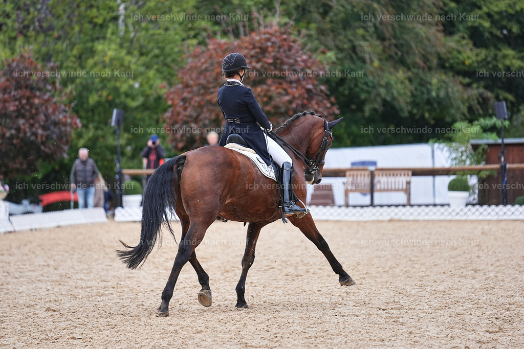 12-072-DRESSUR  S___  -Marixx-5243 | working equitationturnier fotograf videograf stoibphotography marixx film working equitation deutschland reitsport turnierfotografie eventfotografie equestrian events