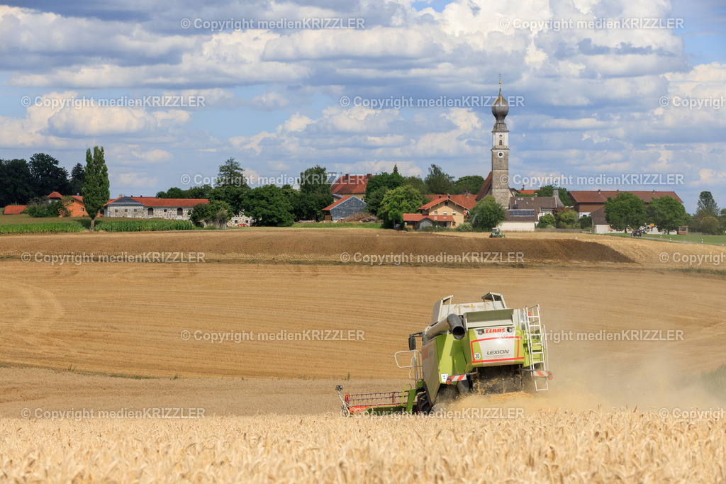 Erntezeit | medienkrizzler - Realisiert mit Pictrs.com