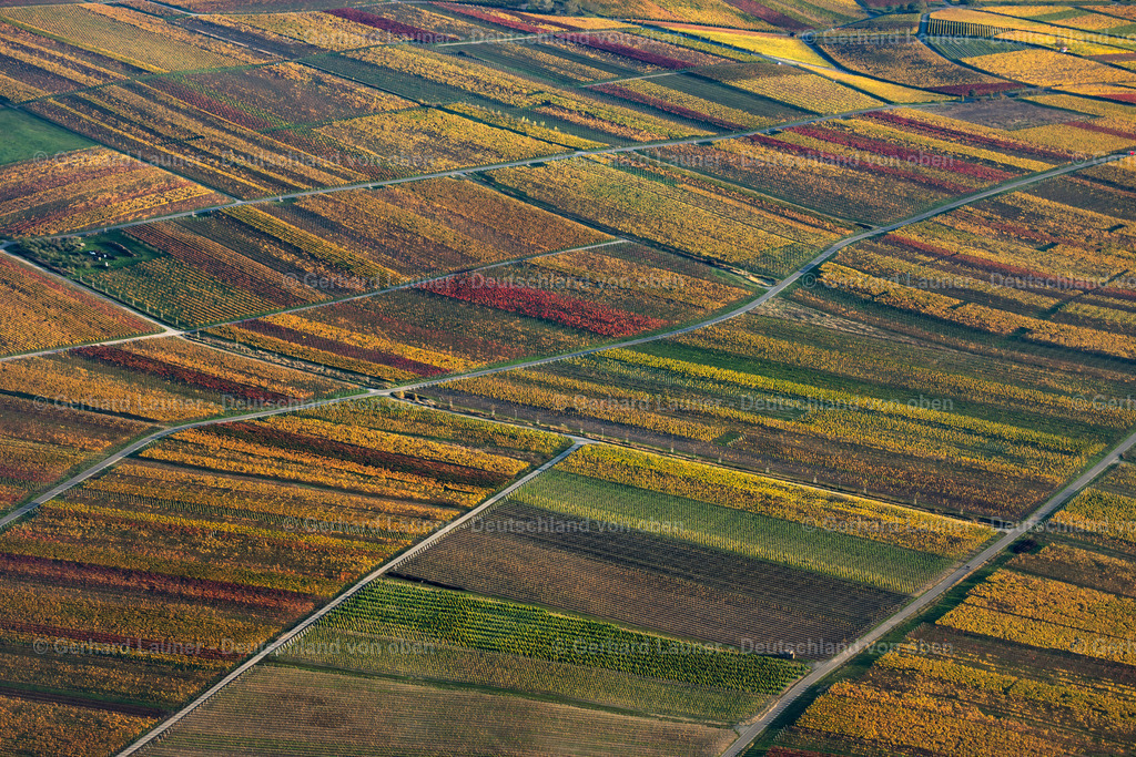 3905382 | Weininsel bei Nordheim