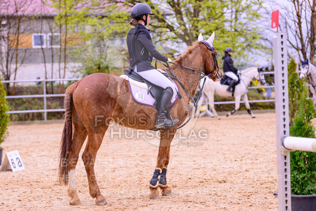 12042026-Mammendorf-Prfg38-0787 | Fokus Hufschlag Fotografie - Realisiert mit Pictrs.com