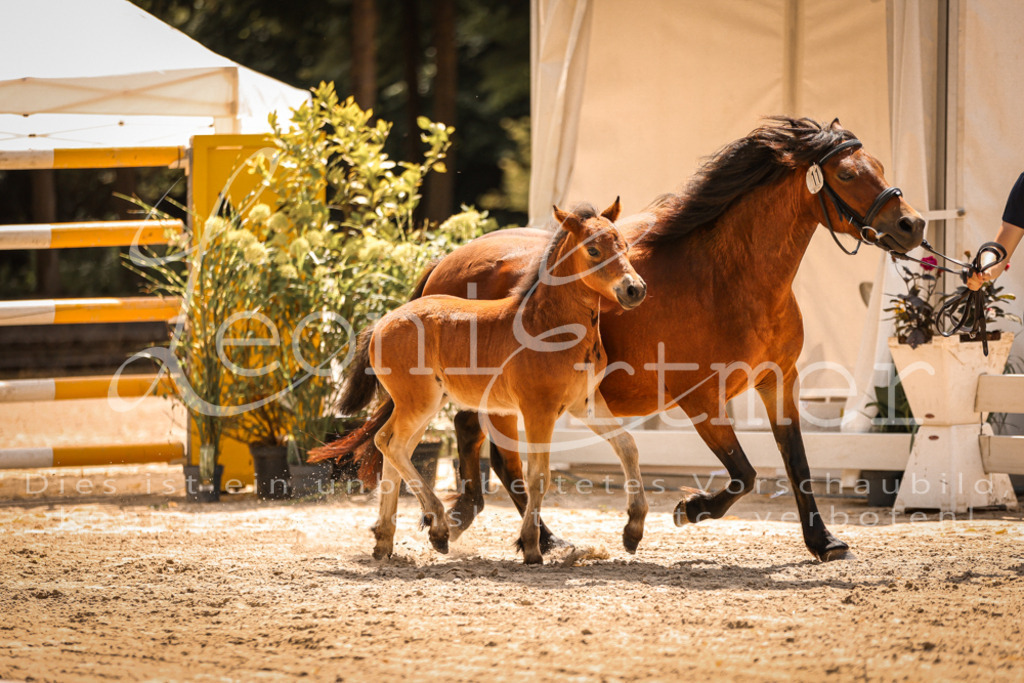 02.DoSR00136 | Leoni Ertmer Photography - Realisiert mit Pictrs.com