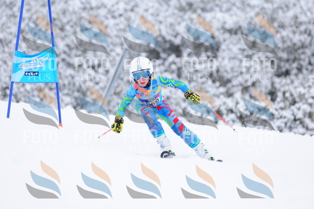 C3942 | holidayphoto