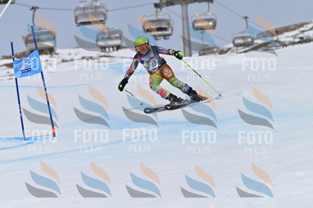 BGV_3832 | holidayphoto