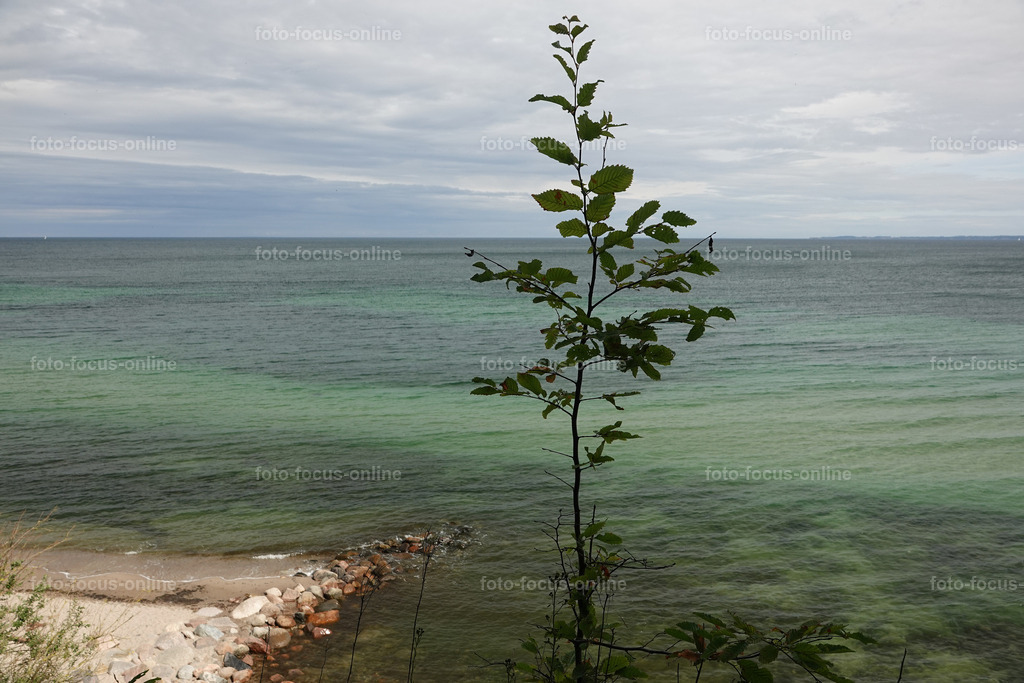 6bro | Landscape photography, spectacular waves, Atlantic Ocean, Baltic Sea