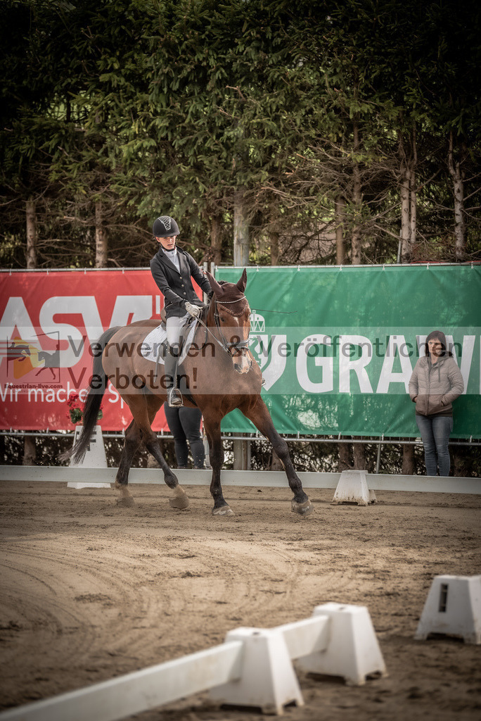DSC_8278 | equestrian-live-com