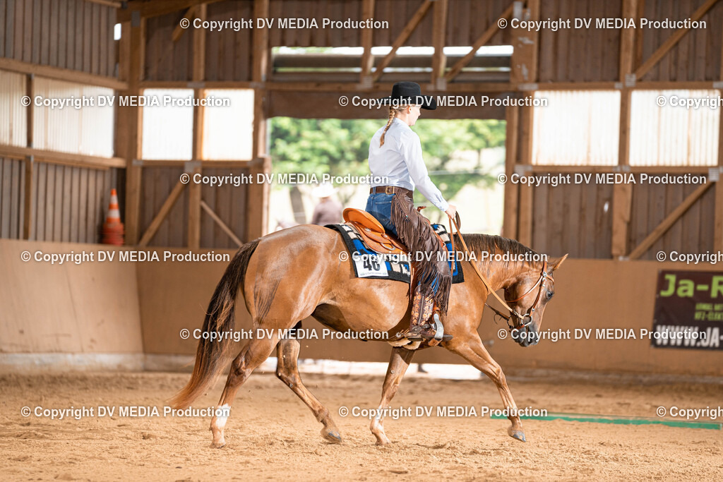 Losheim Tag 1-464 | dv-media-shop - Realisiert mit Pictrs.com