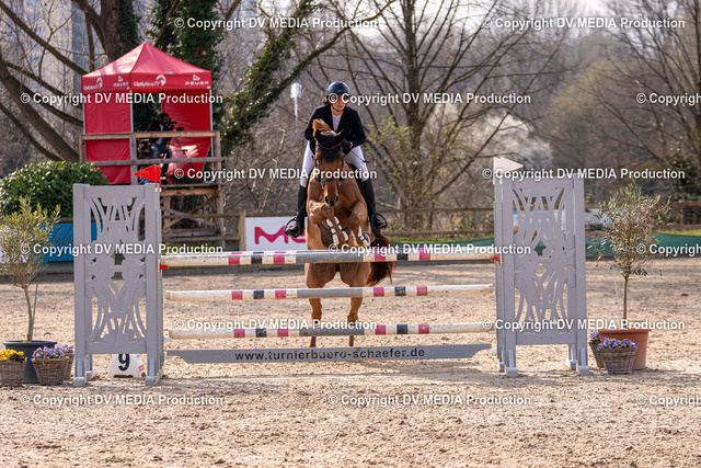 Kranichstein Tag 2-1885 | dv-media-shop - Realized with Pictrs.com