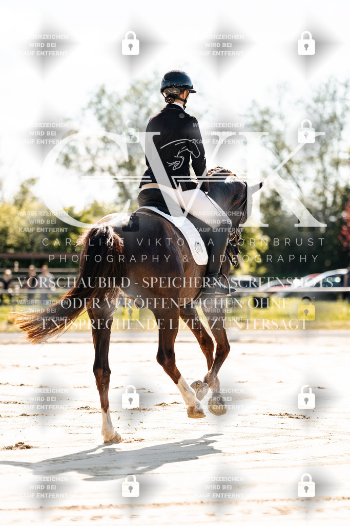 CK909089 | Turnierfotografie Pferdefotografie Trier Rheinland-Pfalz Pferdesport Reitsport Tierfotografie Sportfotografie Pferdevideo Pferdevideografie Equestrianvideography equestrianphotography  - Realisiert mit Pictrs.com