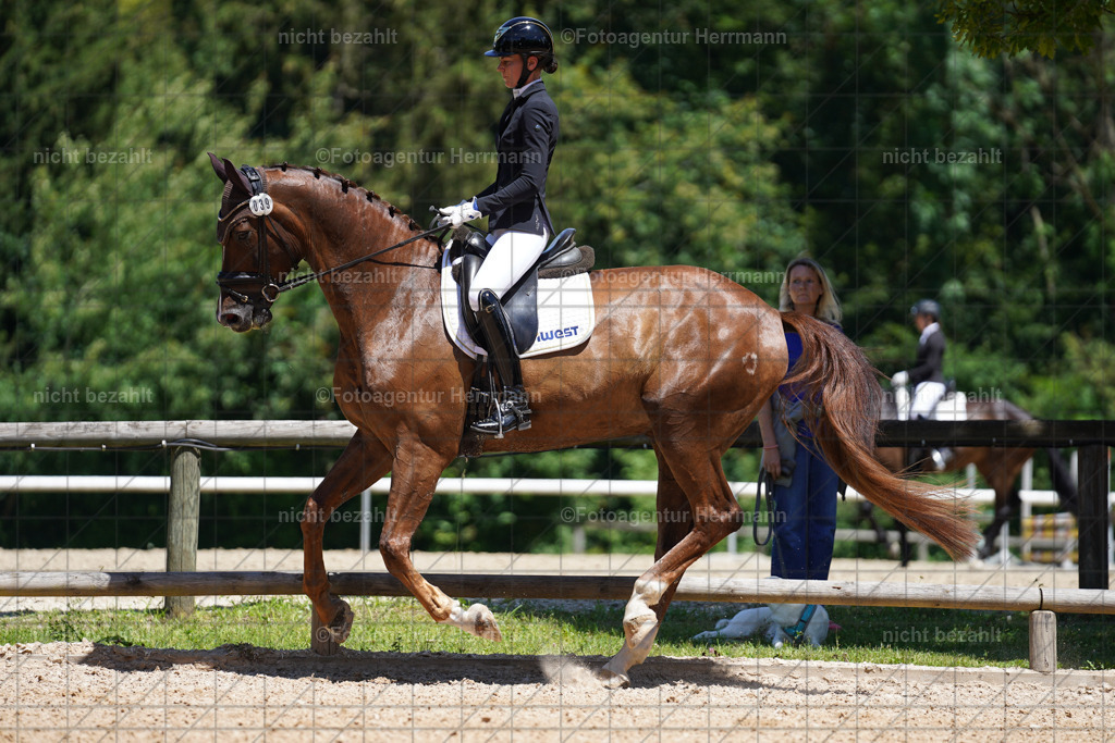20240705-FAH03568 | Turnierbilder von Grafing, Reitsportbilder, Turnierfotos, Turnierfotografen Bayern, Pferdefotograf, Fotoagentur Herrmann