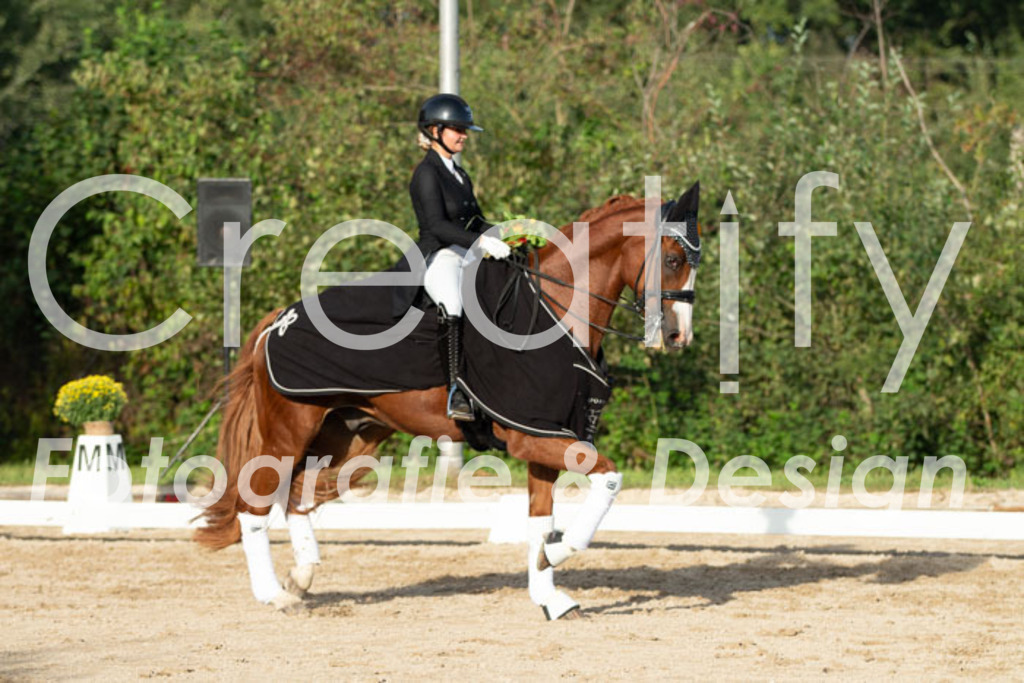 IMG_5205 | Creatify Fotografie