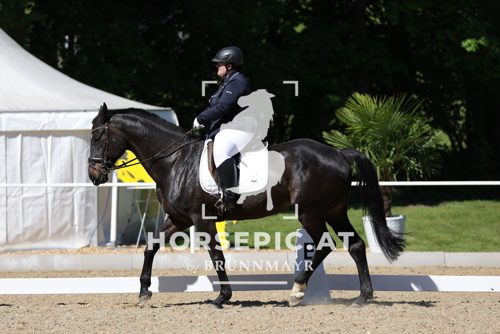 0P6A1788 | Willkommen bei Brunnmayr - Design & Fotografie – Ihrem Spezialisten für Reitturniere und Pferdeveranstaltungen in Oberösterreich, Salzburg und Bayern! Seit über 17 Jahren sind wir leidenschaftlich dabei.