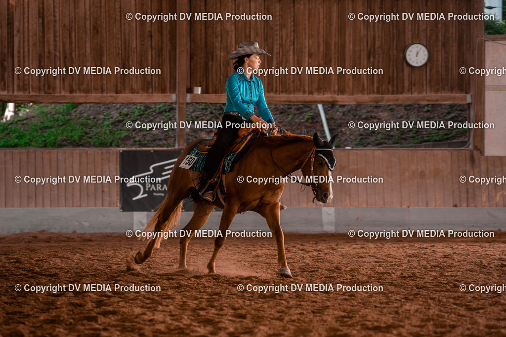 NE200114 | dv-media-shop - Realisiert mit Pictrs.com