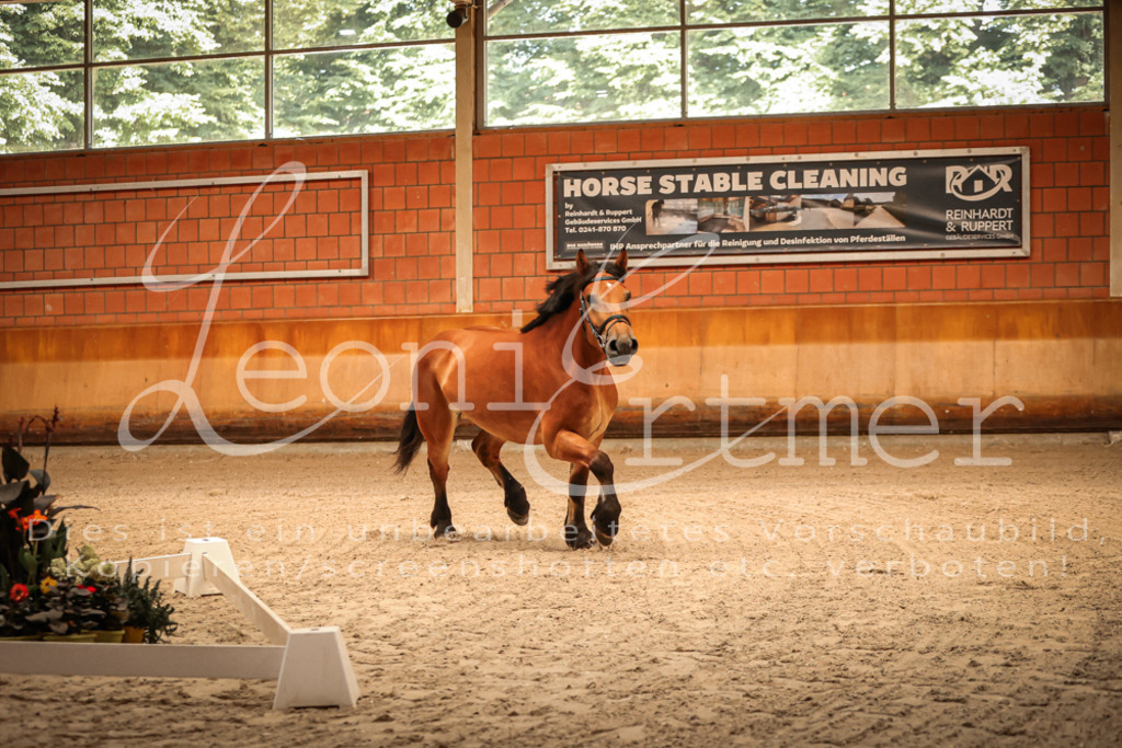 SaFL00024 | Leoni Ertmer Photography - Realisiert mit Pictrs.com