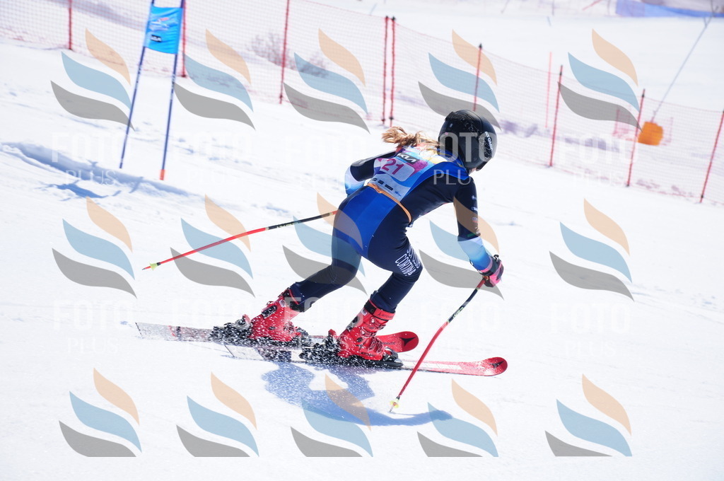 DSC_3817 | holidayphoto