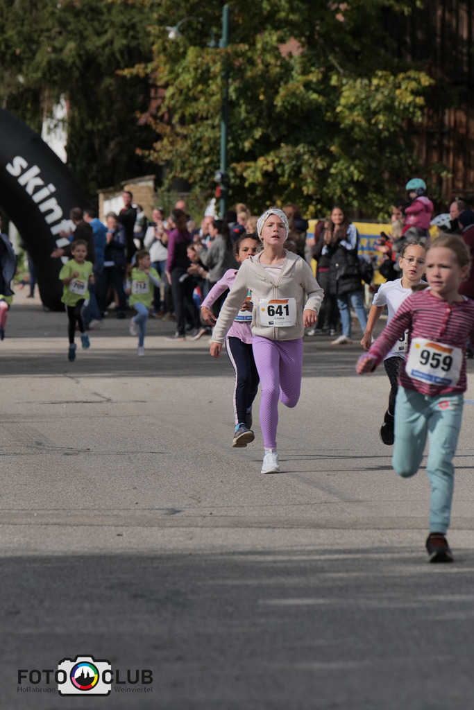 P1039038 | Foto Buchgraber