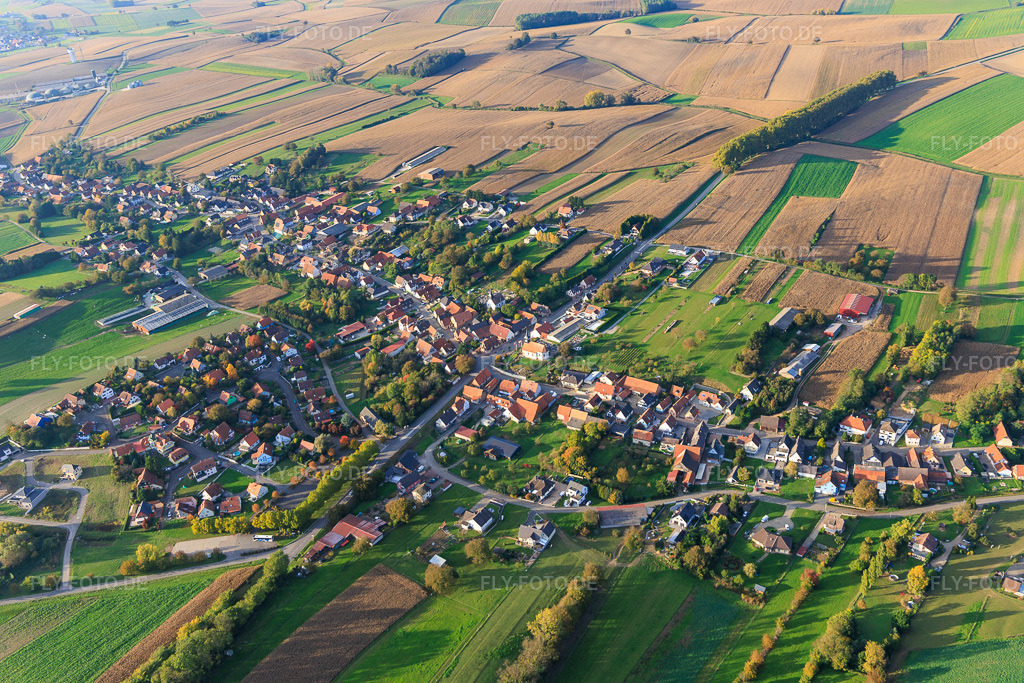 Luftbild: Ortsansicht von Südosten in Wintzenbach im Bundesland Bas-Rhin in Frankreich. Foto: IMG_150165.jpg vom 11.10.2025 durch Werner Riehm/FLY-FOTO.de