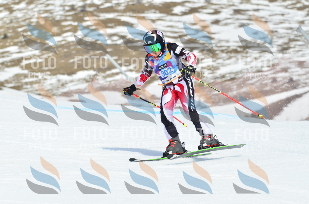 _ELE2212 | holidayphoto