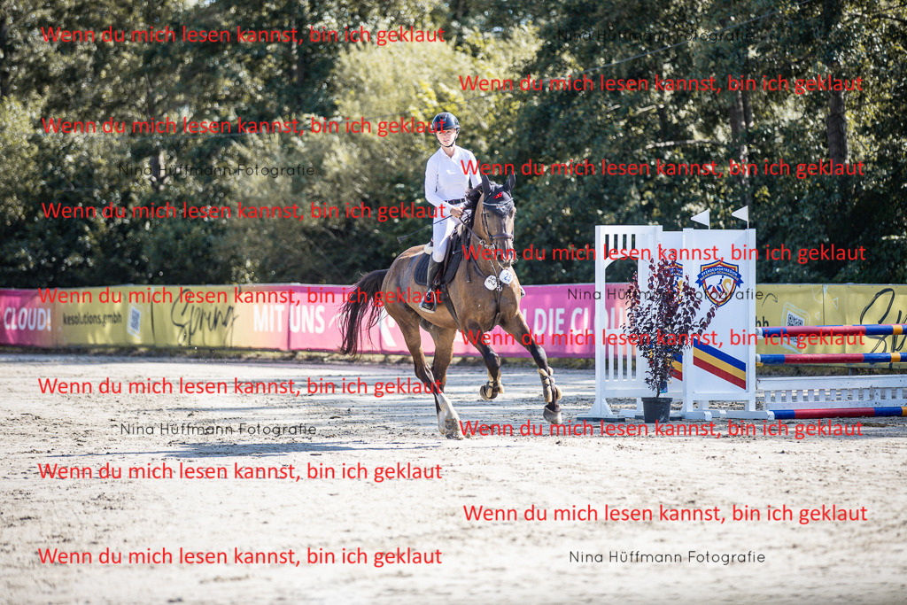 BK1A7039 | Turnierbilder Turnierfotos Nina Hüffmann Turnierfotografie Pferdefotografie Tierzeichnung Haustierzeichnung Pferdezeichnung Hundezeichnung Videograf  - Realisiert mit Pictrs.com