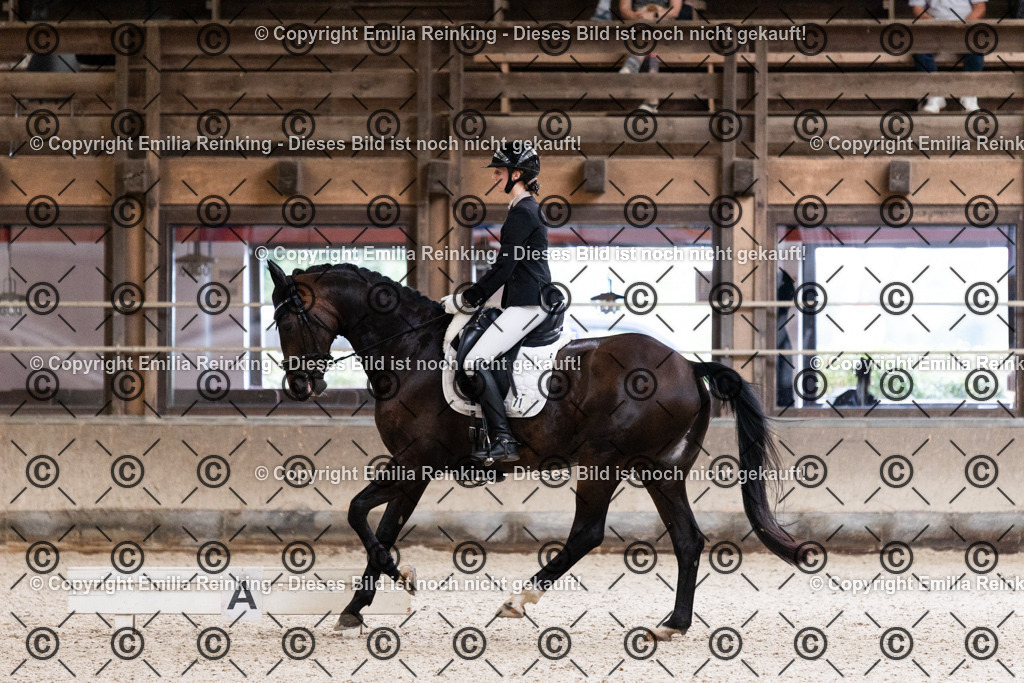 CL5A7056 | Emilia Reinking Fotografie - Realisiert mit Pictrs.com