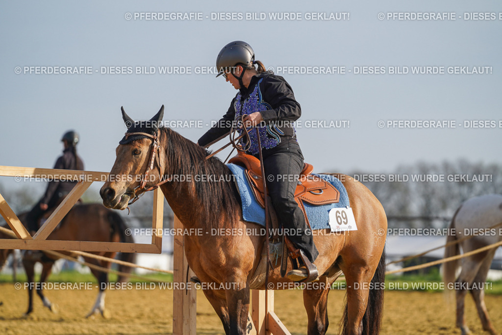 DSC00672 | Pferdegrafie