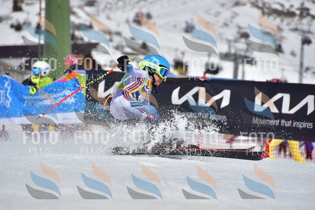 _DSC7818 | holidayphoto