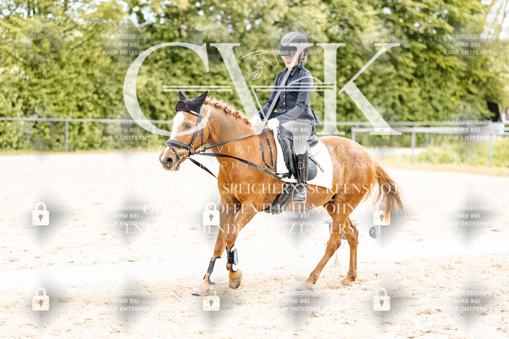 CK904613 | Turnierfotografie Pferdefotografie Trier Rheinland-Pfalz Pferdesport Reitsport Tierfotografie Sportfotografie Pferdevideo Pferdevideografie Equestrianvideography equestrianphotography  - Realisiert mit Pictrs.com