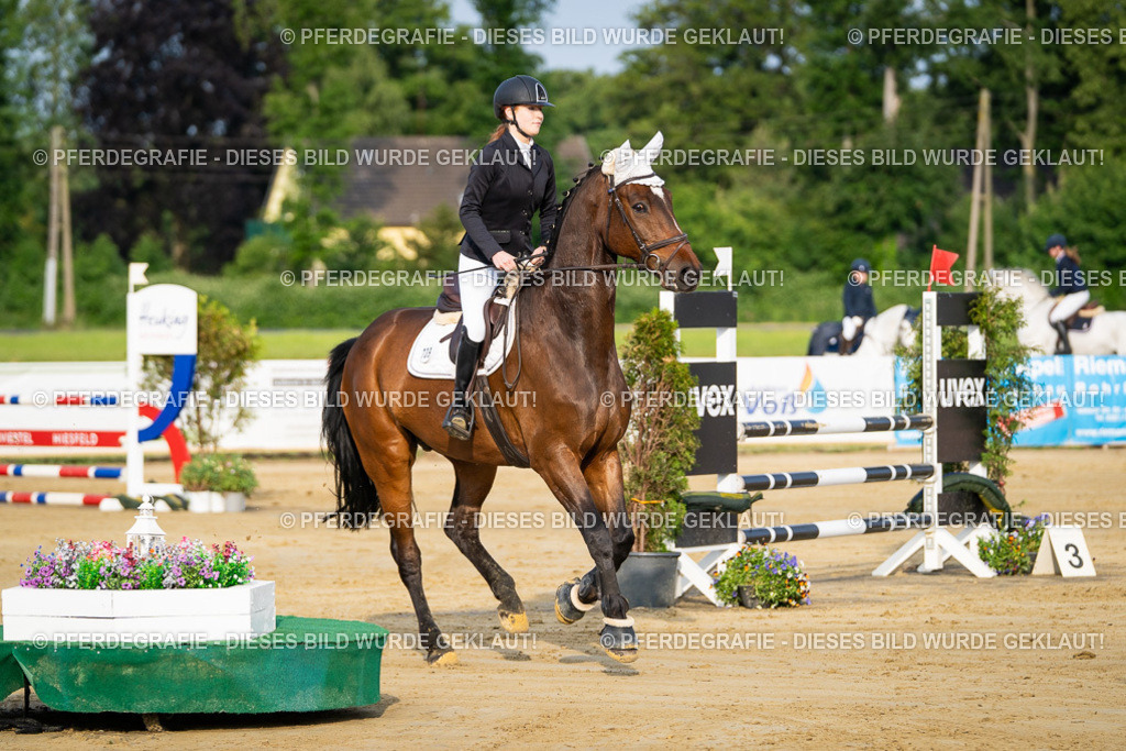 DSC02181 | Pferdegrafie