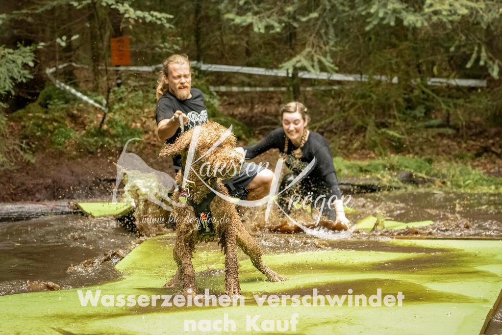 1217_ZZ93657-Bearbeitet | kk-dogfotos