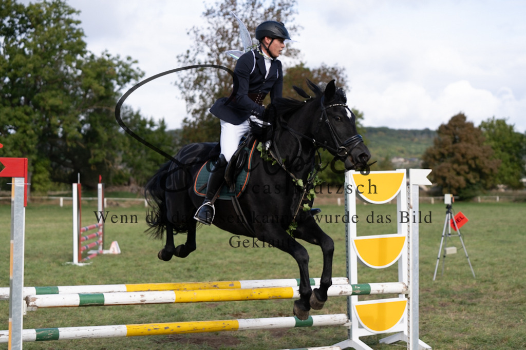 A7V06580 | Pferdefotograf