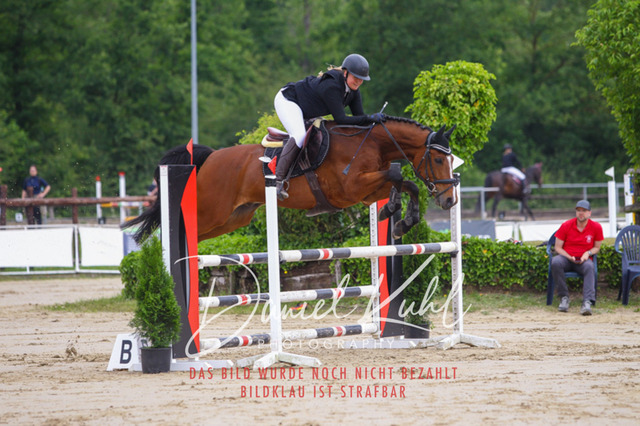 DKP41742 | Turniersportfotografie; Pferdefotografie; Dressurfotografie