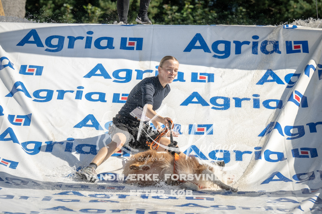 1047_ZZ99516 | kk-dogfotos