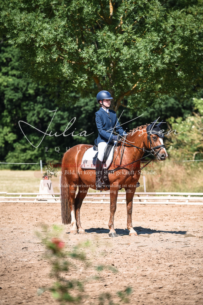 DSC_3511 | Pferde- und Turnierfotografie in Westsachsen. Pferdeportraits, Auftragszeichnungen und intuitive Kunst.