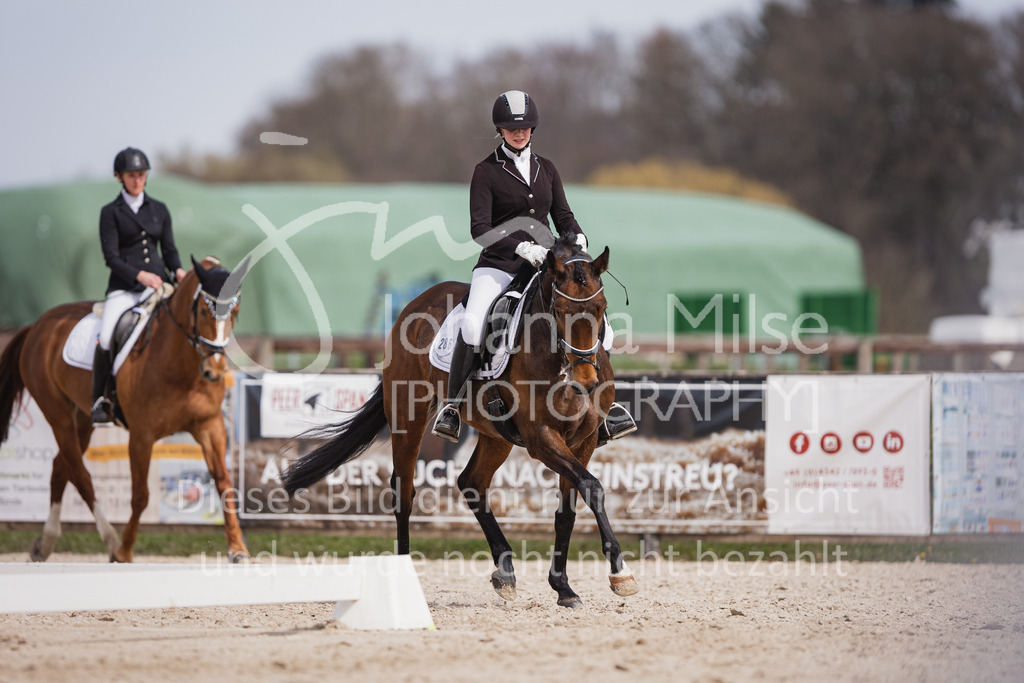 230410_Frühlingsfest_A-Dressur-506 | Deine schönsten Turniermomente als professionelle Fotos! Entdecke hochwertige Pferdesport-Fotografie im Online-Shop. Jetzt Fotos finden & bestellen!