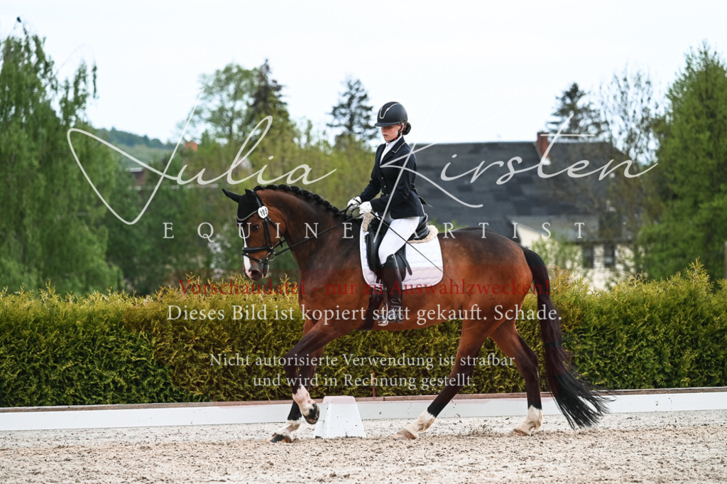 20230513_JK-Röhrsdorf-11-359 | Pferde- und Turnierfotografie in Westsachsen. Pferdeportraits, Auftragszeichnungen und intuitive Kunst.