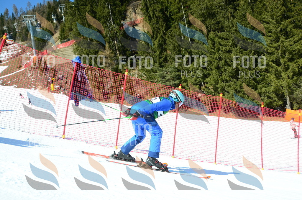 C6525 | holidayphoto