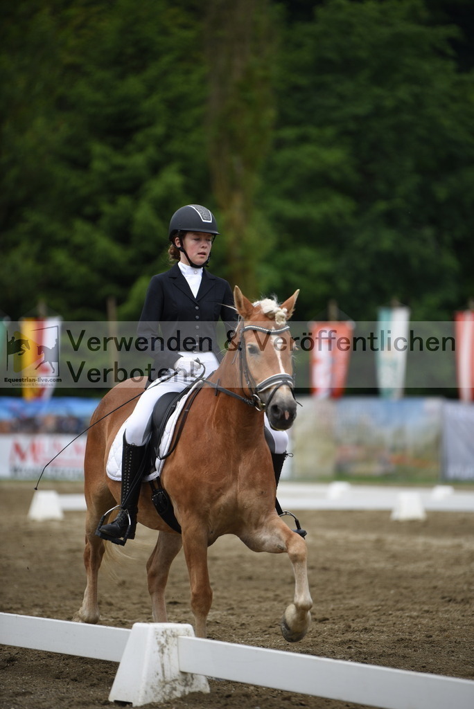 DSC_8164 | equestrian-live-com