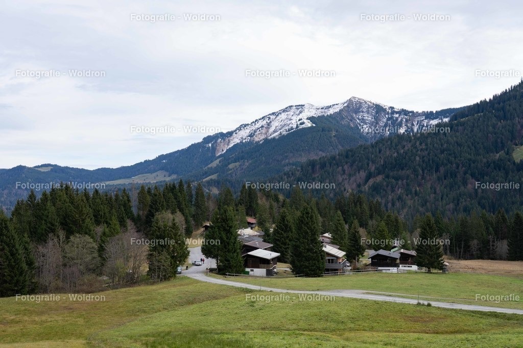 20221109 Rappenlochschlucht Dornbirn-11 | Fotografie Woldron