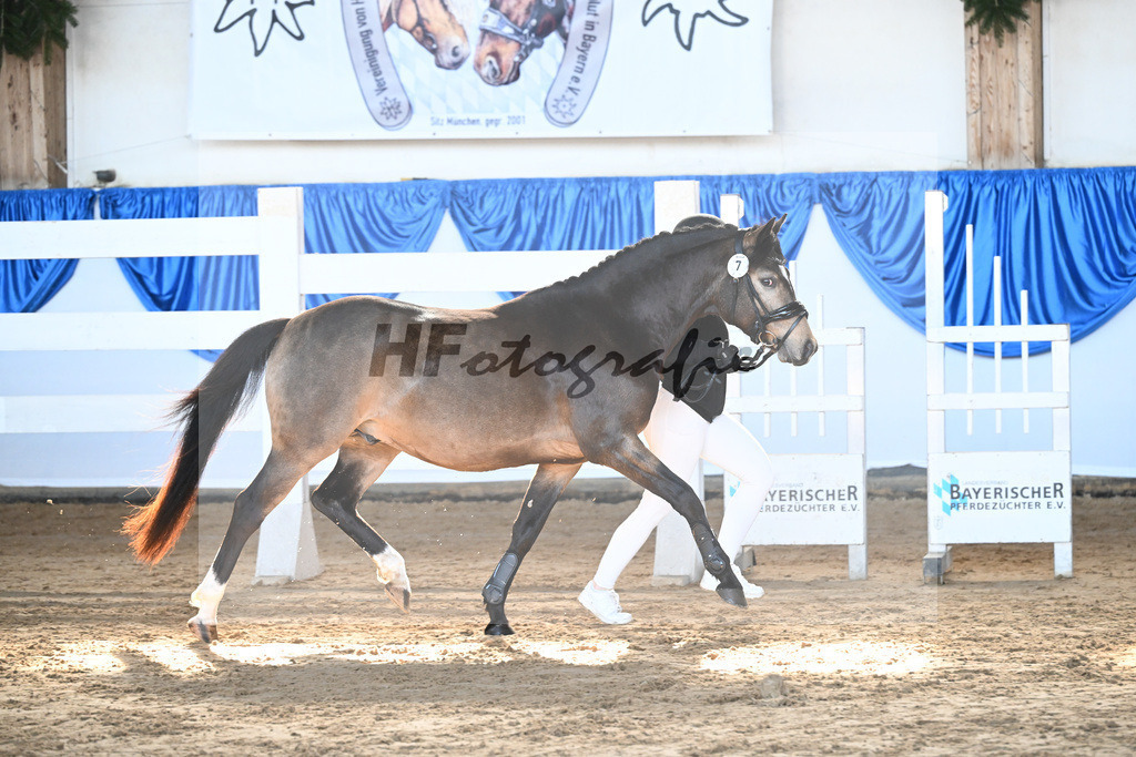 Kat-Nr. 7 Dian v. Diamond Touch_Schneider_9260179 | hf-fotografie - Realizzato con Pictrs.com
