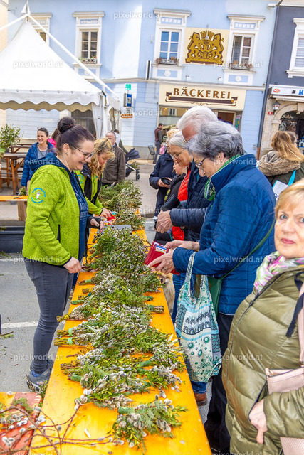 Palmbuschenbinden am Wochenmarkt mit der DG St. Martin | Bildershop von pixelworld.at - Realisiert mit Pictrs.com