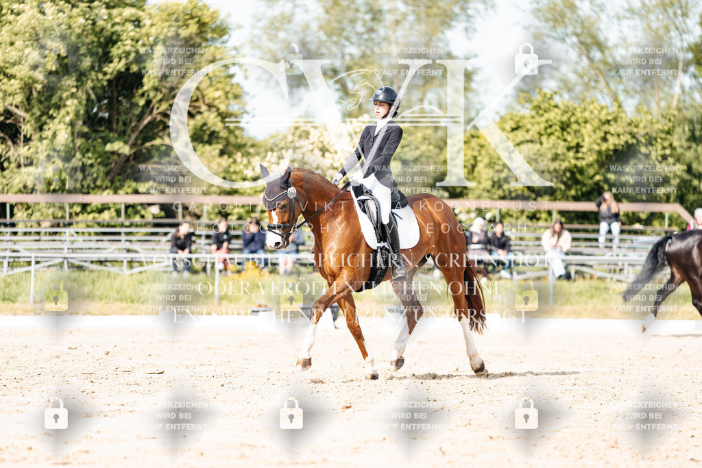 CK900317 | Turnierfotografie Pferdefotografie Trier Rheinland-Pfalz Pferdesport Reitsport Tierfotografie Sportfotografie Pferdevideo Pferdevideografie Equestrianvideography equestrianphotography  - Realisiert mit Pictrs.com