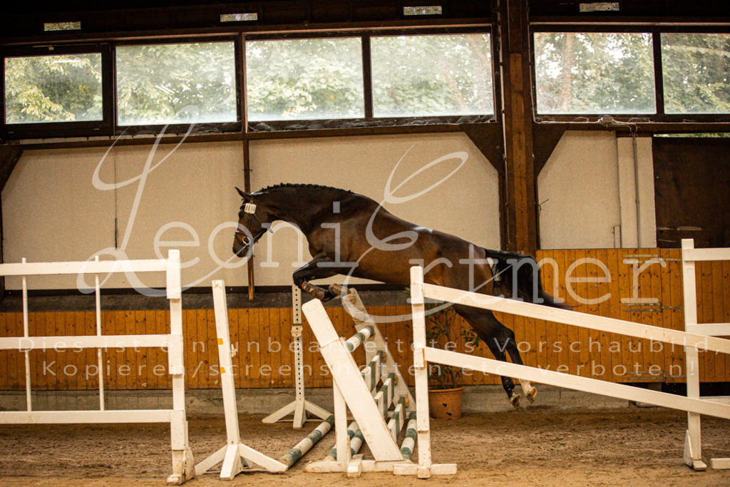 2FS_L00003 | Leoni Ertmer Photography - Realisiert mit Pictrs.com