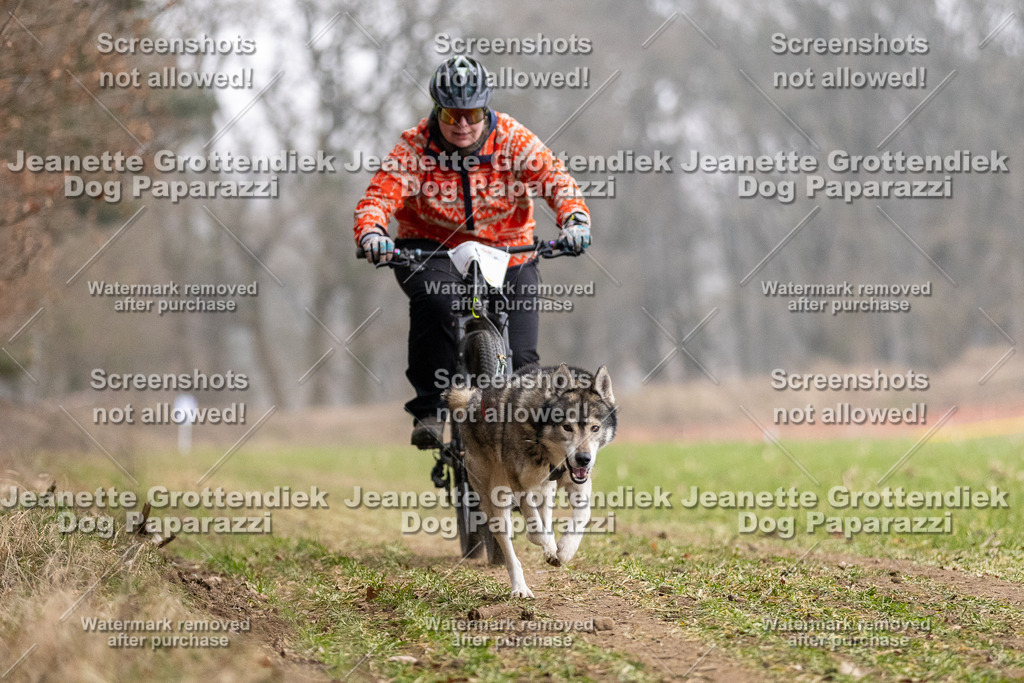 Dog Paparazzi - Plate 2026-14 | Dog Paparazzi Jeanette Grottendiek Fotografie & Videografie - Realisiert mit Pictrs.com