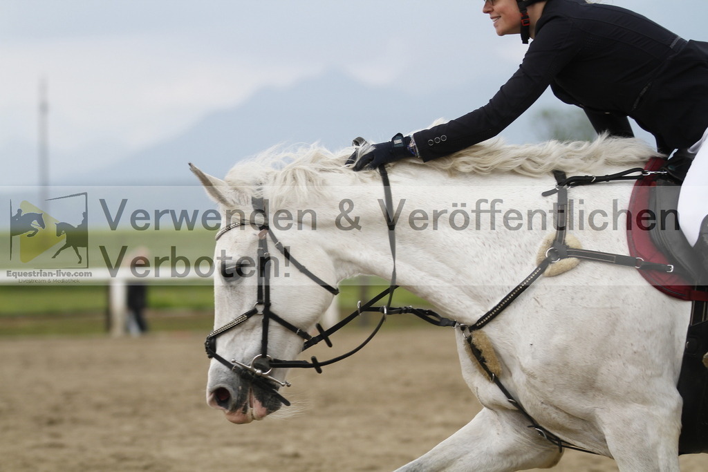 _MG_7683 | equestrian-live-com