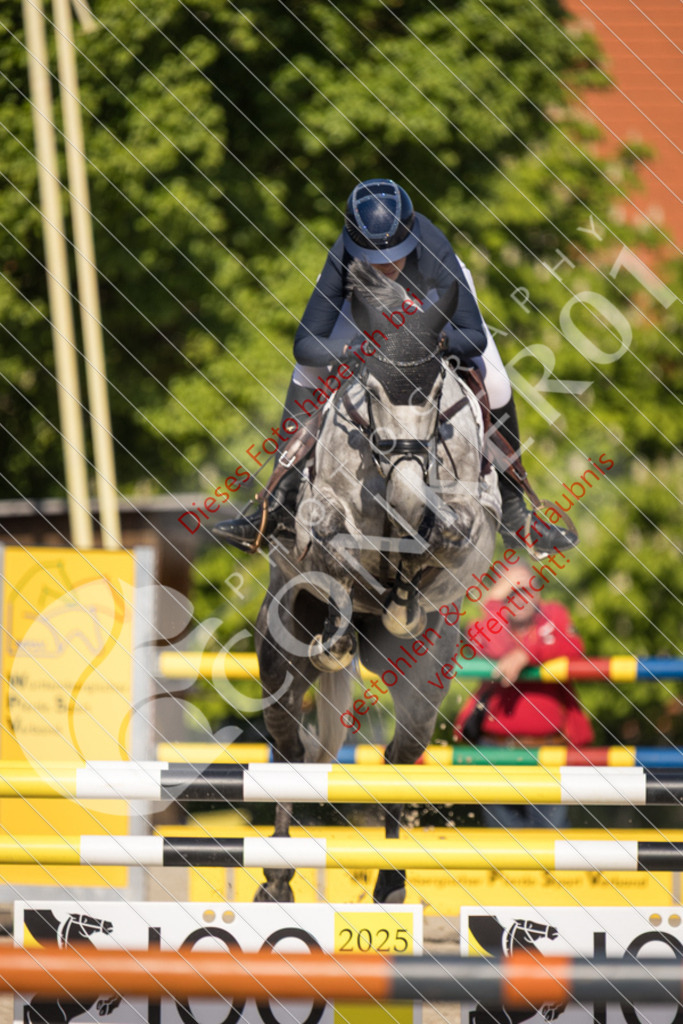 IMG_3004 | Sport-, Event- und Tierfotos in Profiqualität. Einfach auswählen, bestellen und herunterladen. Dein Moment – perfekt festgehalten.