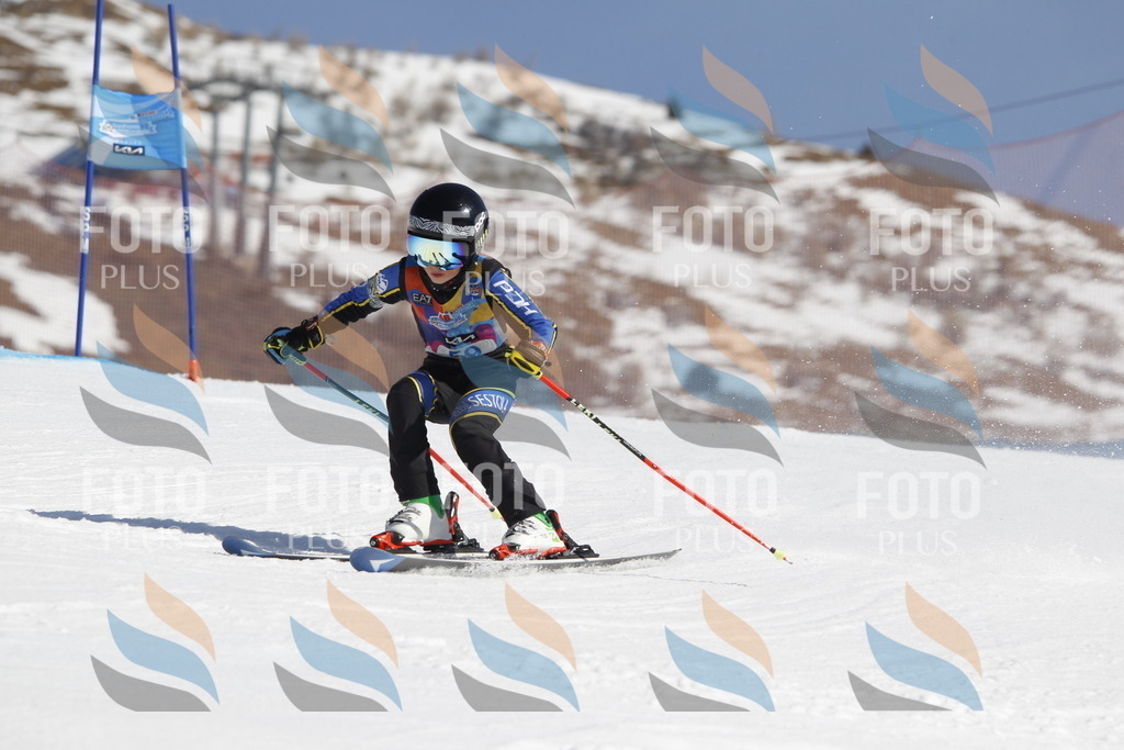 _U3G9584 | holidayphoto